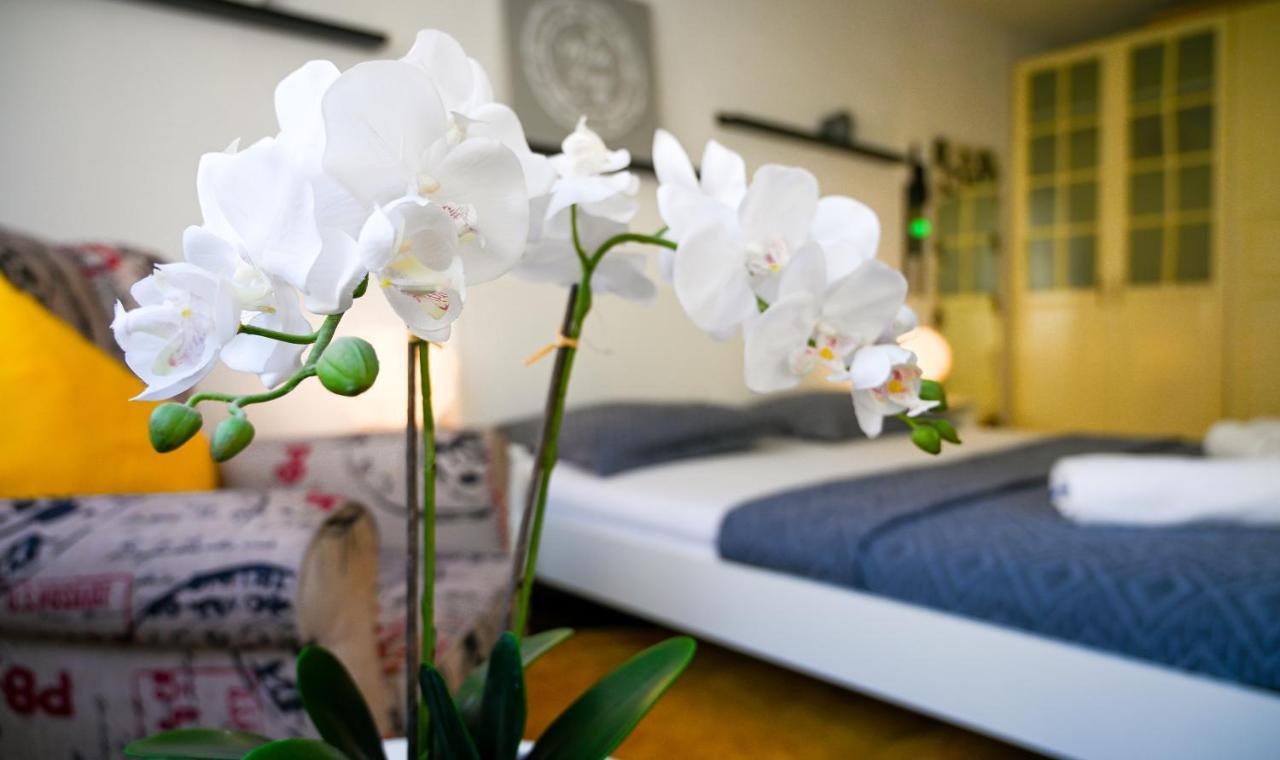 Cozy Apartment Margareten 维也纳 外观 照片